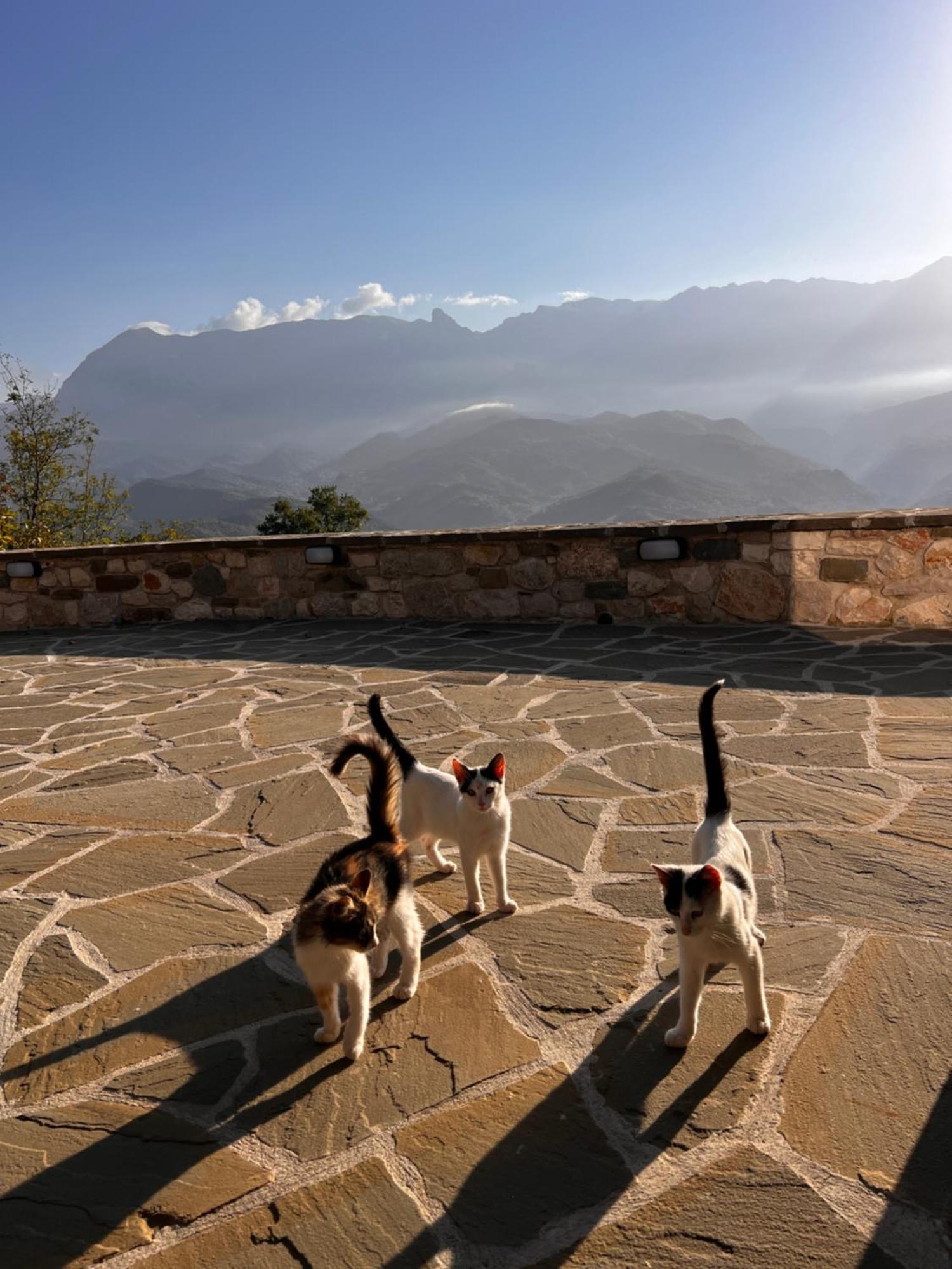 Tovouno Konuk evi Plaka  Dış mekan fotoğraf