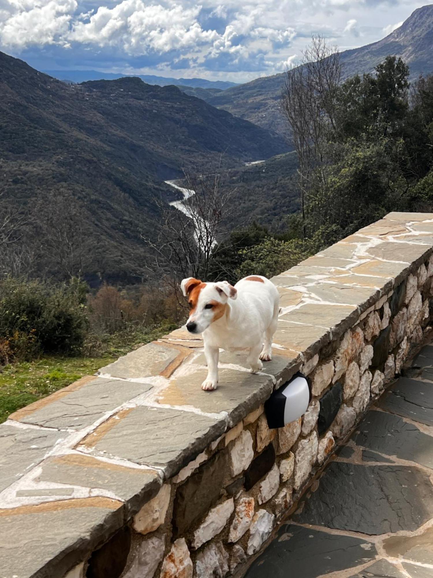 Tovouno Konuk evi Plaka  Dış mekan fotoğraf